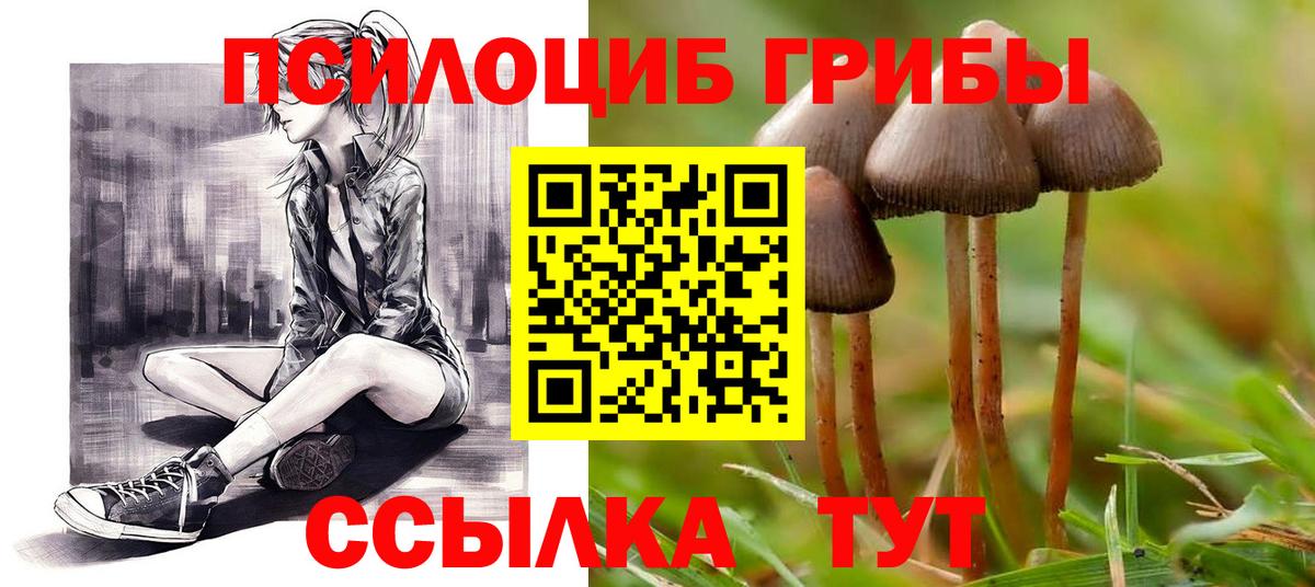Псилоцибиновые грибы прущие грибы Миллерово
