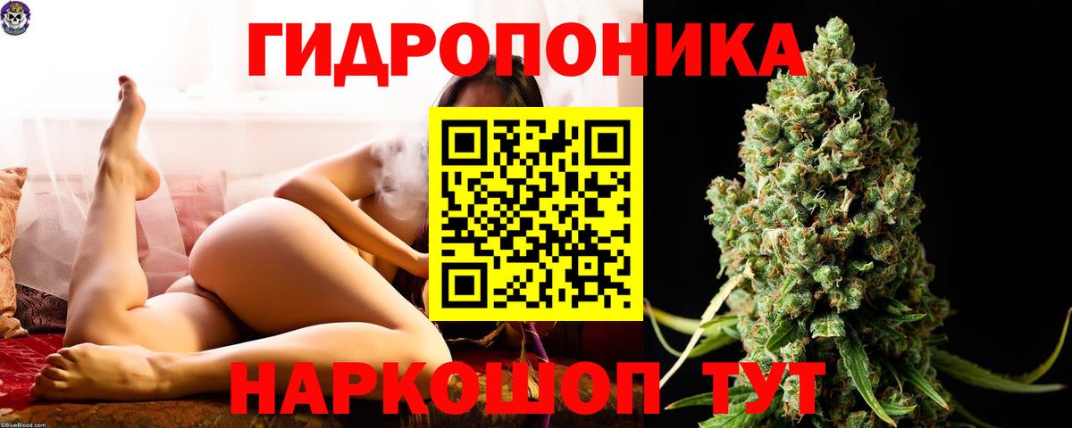 Каннабис конопля  Конопля MAZAR  Миллерово  Каннабис тримм  Вход с VPN 
